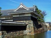 雷ちゃんさんの松本城公園の投稿写真6
