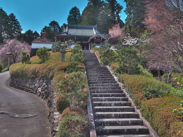 善峯寺 薬師堂_善峯寺薬師堂