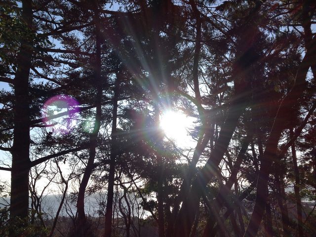 太陽の光のまわりに虹色に輝く輪
が写ったり、ピンク色の丸いもの
が写ってびっくりしました。_円明院