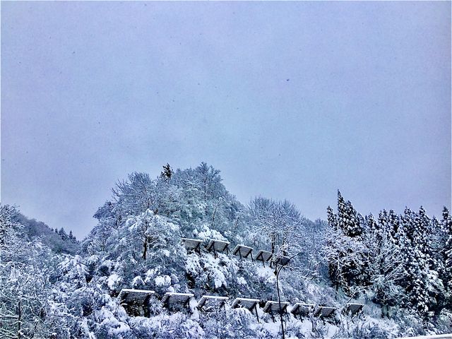雪景色 2_塩沢石打サービスエリア 上り