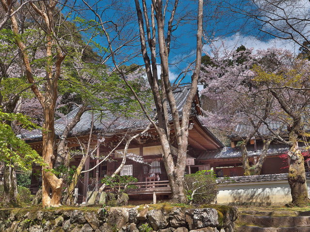 勝持寺_勝持寺