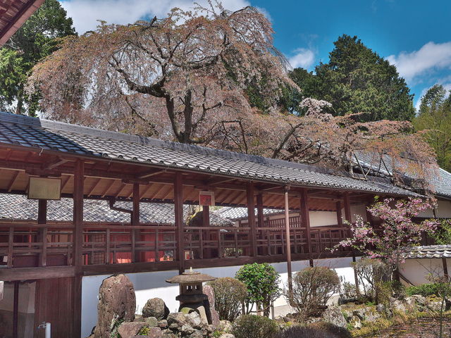 十輪寺_十輪寺