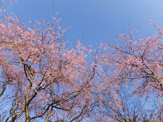 荒井城址公園