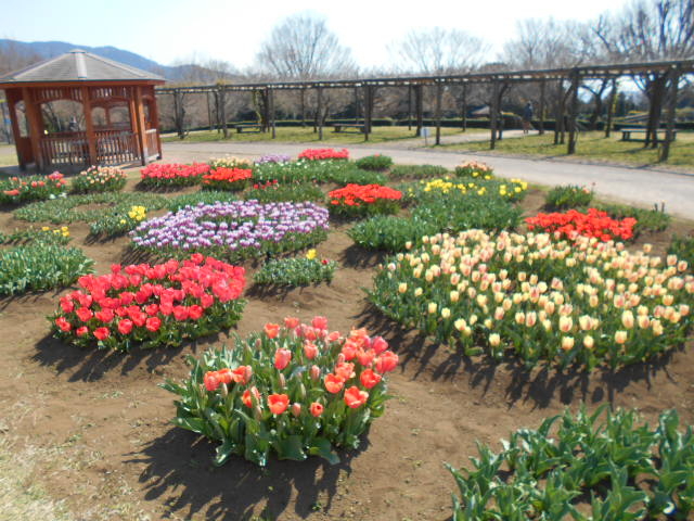 県立秦野戸川公園