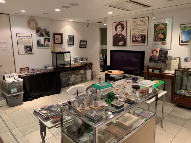 質問コーナーや蝶の展示もあり自由研究などに活用できます。_ファーブル昆虫館(虫の詩人の館)