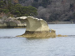 zinさんの松島湾への投稿写真1