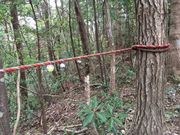 童心さんの円明院の投稿写真1