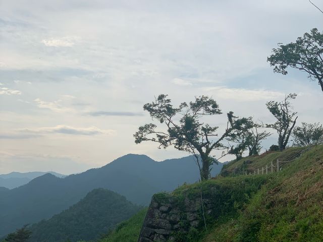 幻想的でした。景色は抜群です。_黒井城跡