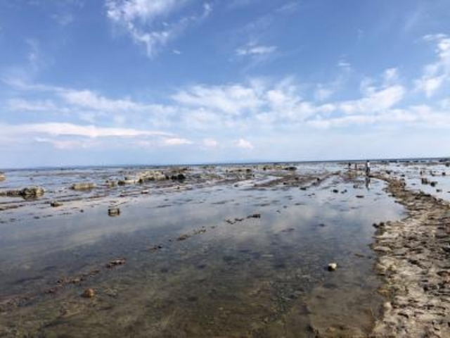 鵜ノ崎海岸_男鹿半島・大潟ジオパーク
