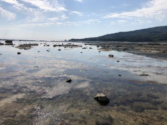遠浅_男鹿半島・大潟ジオパーク