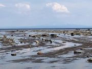 なべきちさんの男鹿半島・大潟ジオパークの投稿写真3