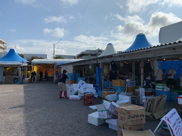 【三崎朝市】_三崎朝市