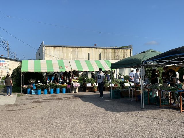 【三崎朝市】生花は3束500円もあります_三崎朝市
