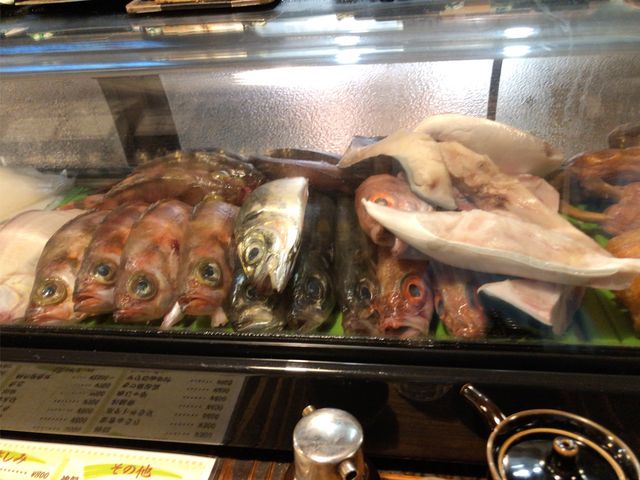 美味しそうな魚が並びます_居酒屋せいご
