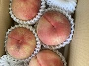まーちゃんさんの若葉農園の投稿写真1