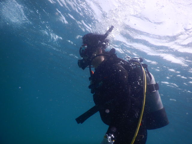 水中の写真も撮ってもらいました。緊張しましたが、慣れたらめちゃくちゃ楽しかったです。_スキューバ&フィットネス VeryVery