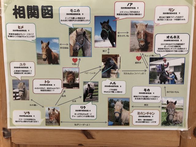 トイレに馬の相関図が貼ってありました。_登別ホースパーク遊駿