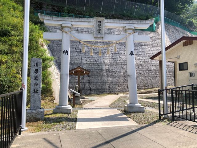 川原湯神社2(鳥居)_川原湯神社