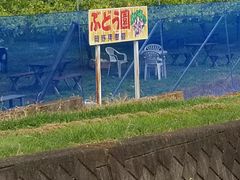 みかんさんの岡野果樹園への投稿写真2