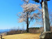 雷ちゃんさんの松岡城址(長野県高森町)の投稿写真2