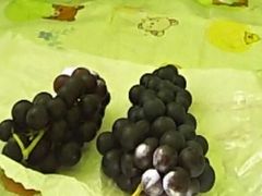 くまみさんの初清園への投稿写真1