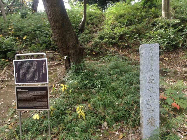 この標識がないとただの小山_芝丸山古墳