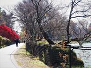 雷ちゃんさんの荒神山スポーツ公園の投稿写真5