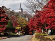 雷ちゃんさんの荒神山スポーツ公園の投稿写真8