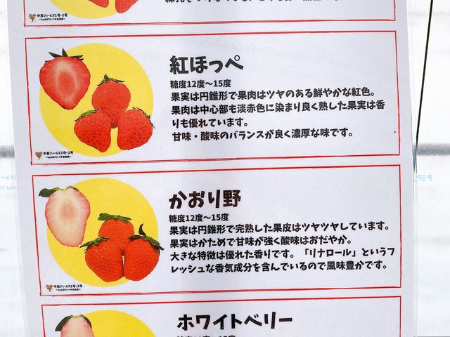 4種類が食べられます!_中島フィールズ