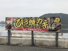 ひろちゃんカキの写真1