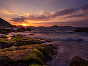 大宏さんの海岸寺の投稿写真1