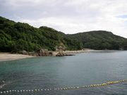 シゲちゃんさんの柿泊白浜海水浴場の投稿写真1