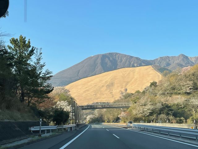 景色に感動_大分自動車道別府湾SAレストラン下り線