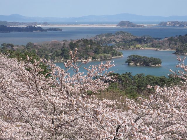 まさにあの「松島や あゝ松島や 松島や…」が思い浮かぶ風景ですな♪_櫻