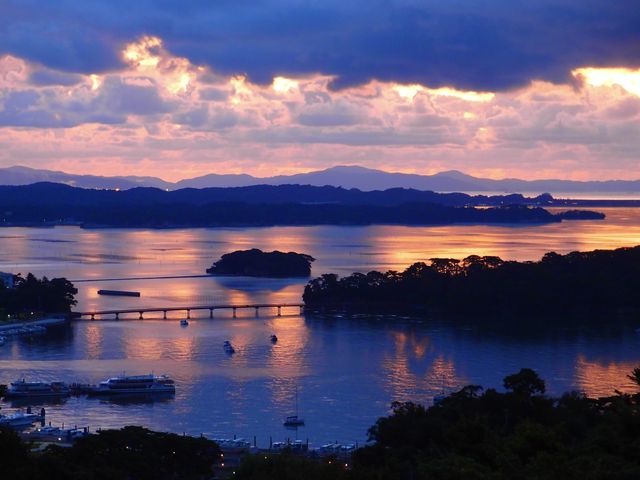 条件によってはこんな風景も♪_櫻