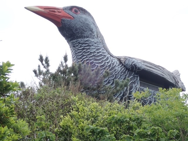 でかい!_ヤンバルクイナ展望台