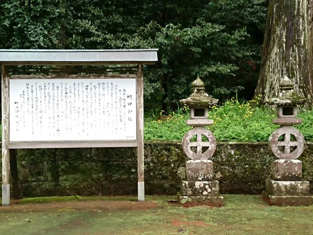 みやびひめさんの日新クスの大木の投稿写真1