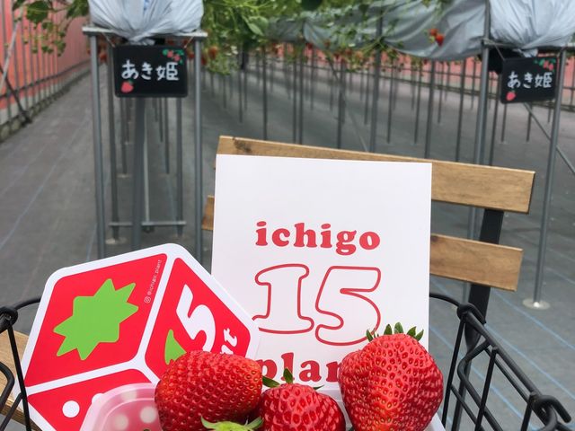 おいしかった。_いちご ぷらんと -ichigo plant-