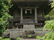 みやびひめさんの日新クスの大木の投稿写真1