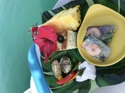 いづちゃんさんのヨーキーズ クルーズの投稿写真1