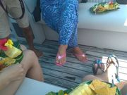 みぽりんさんのヨーキーズ クルーズの投稿写真3