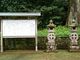 みやびひめさんの日新クスの大木への投稿写真2