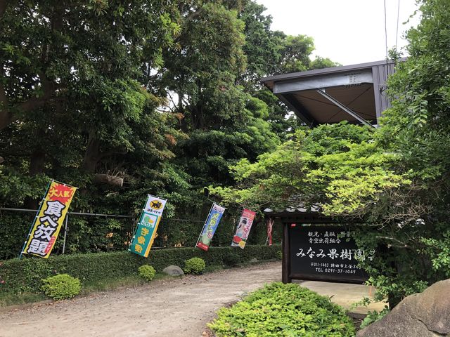 ワクワク♪_みなみ果樹園芸