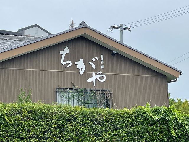 ちがや_ちがや