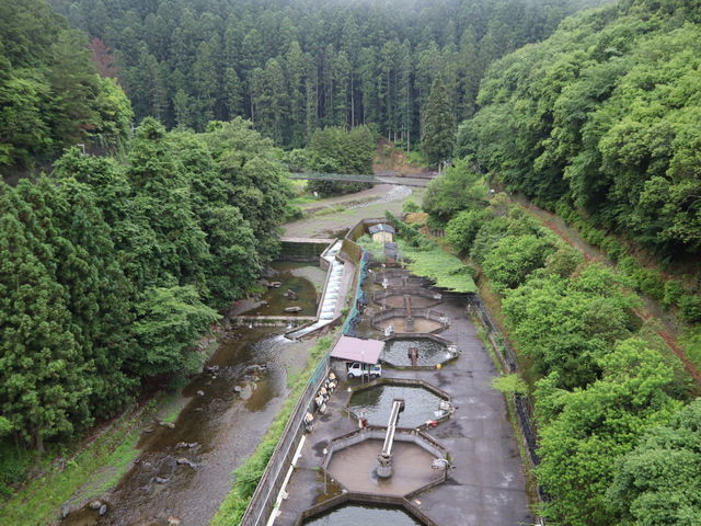 近くの吊り橋から撮った景色です。_かくれ里の宿 森の交流館