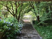 章男君さんの光明寺の投稿写真2