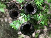 アイルさんの八丈島観光レクリエーション研究会の投稿写真1
