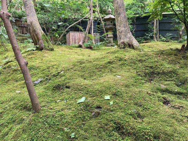滝口寺_滝口寺