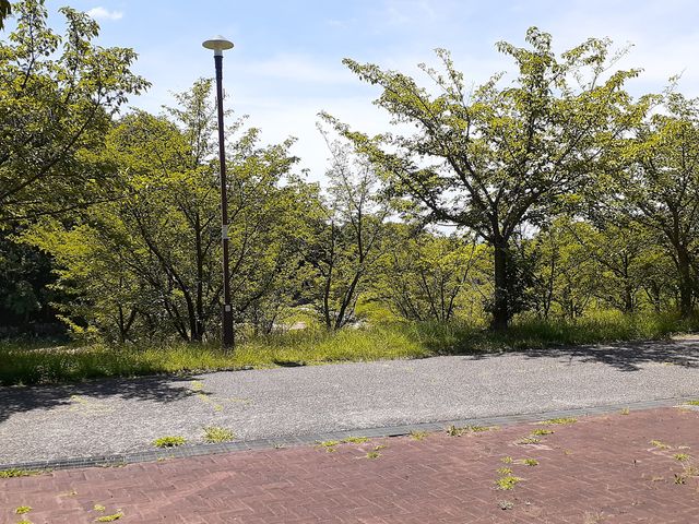 入口_西神中央公園