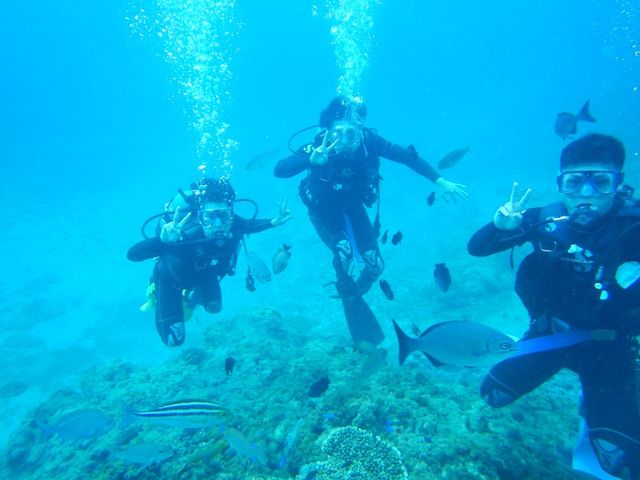 お魚が目の前で見ることが出来ます_BlueMarine02